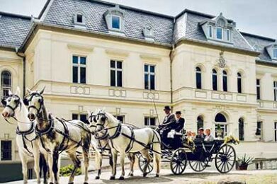 Eventschloss Schönfeld: Hochzeitslocation in Sachsen-Anhalt