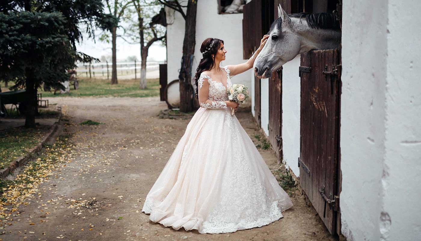 Scheunenhochzeit Sachsen-Anhalt